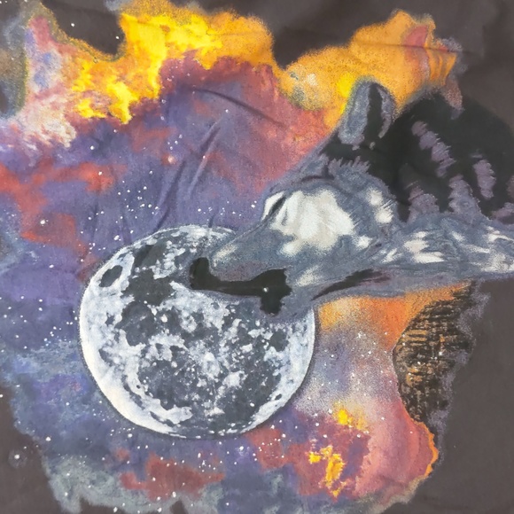 Urban Outfitters Truly Madly Deeply Wolf Crop Top - Picture 3 of 6